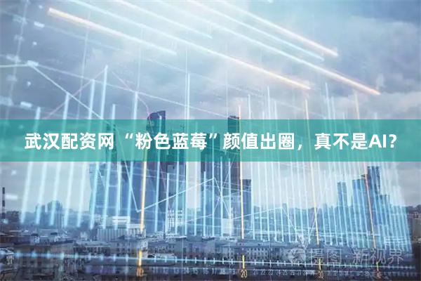 武汉配资网 “粉色蓝莓”颜值出圈，真不是AI？